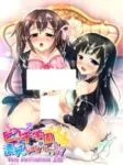 Bitch Gakuen ga Seijun na Hazu ga Nai!!? The Animation Episode 2