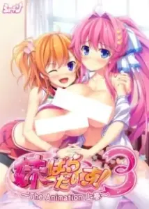 Imouto Paradise! 3 The Animation